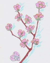 Blütenzweig.1